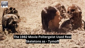 the 1982 movie poltergeist used real skeletons as - tymoff