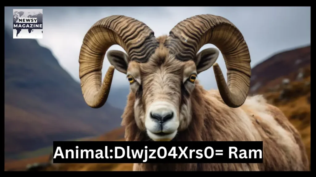 animal:dlwjz04xrs0= ram