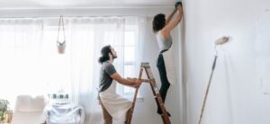 Professional Painter